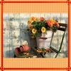 themarigoldshop